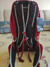 OSPREY 小鹰 登山包 Talon 魔爪22L 26L 36L  户外背包双肩骑行旅行徒步 新红色22L L/XL 实拍图