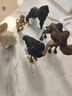 玛奇乐（MECHILE）仿真动物模型玩具大象大熊猫老虎河马犀牛狮子骆驼袋鼠斑马狼鳄鱼 北极熊 实拍图
