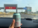 蓝带玫瑰牛奶啤酒  乳酸菌果啤 奶啤 低度微醺 300ml*12罐 整箱装   实拍图