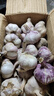 仙果春天    2025年新大蒜 精打细蒜 生鲜 蔬菜 广平特产干蒜头 干大蒜4斤 实拍图