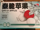 洛川苹果25年新品秦脆瑞雪维纳斯苹果水果礼盒水果生鲜送礼陕西延安特产 秦脆 6枚大果 鉴赏级 礼盒装 实拍图