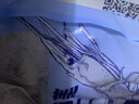 美加佳大号三去小章鱼净重800g 去脏去牙八爪鱼 国产海鲜 海鲜水产 实拍图