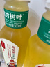 农夫山泉 东方树叶红茶500ml*15瓶 无糖饮料 茶饮料 整箱礼盒 实拍图