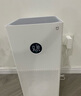 米家小米空气净化器4lite 除甲醛除菌除异味 空气伴侣 除PM2.5 AC-M17-SC 实拍图