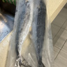 盖世 鲅鱼冷冻一斤装  2条 海鲜鲅鱼 生鲜烹饪食材 水产 实拍图