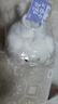 威尔通（WELTSTON）摇尾巴萌犬公仔解压毛绒玩具玩偶儿生日礼物女生 背包挂件钥匙链 实拍图