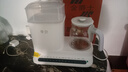 孕贝（yunbaby）全玻璃恒温水壶奶瓶消毒器柜烘干婴儿二合一体机温奶器热冲奶暖奶 白色五合一 1.3L 非全玻璃水壶 实拍图