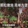 川东农药环嗪酮哃铜除杂草杀灭除大树竹子杂灌木王烂根死根专用农药除草剂 500g*10袋 实拍图