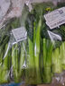宁夏菜心约250g 实拍图