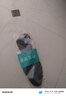 邦尼世家2双装抗菌防臭鞋垫男运动减震吸汗透气除臭软弹军训鞋垫夏季 实拍图