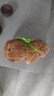 TEAEGG自行车装饰挂件车把玩偶摆件熊猫恐龙公仔儿童平衡车装饰骑行装备 卡皮巴拉【乌龟款】 实拍图
