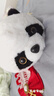 大熊猫变小熊猫玩偶双面翻转变身小浣熊公仔娃娃毛绒玩具生日礼物 翻转熊猫 35cm 实拍图