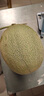 京鲜生 新疆哈密瓜/西州蜜 4粒 净重10斤起 单果2.5斤起 生鲜水果礼盒 实拍图