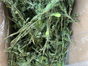 洁西果蔬兔粮2.5kg 苜蓿草1kg 兔子饲料 垂耳兔幼兔成兔果蔬牧草干草 实拍图