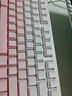 前行者【国补立省15%】X87Pro/Ultra无线机械键盘有线蓝牙三模gasket客制化游戏电竞办公专用侧刻笔记本 碧空蓝-筋斗云轴-混光有线升级版-满配填充 实拍图