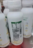 晨光 酸奶 240ml*12瓶 低温鲜酸奶 活菌风味发酵乳低温酸奶 实拍图
