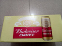 百威（Budweiser）淡色拉格啤酒 500ml*18听整箱装 经典纯生 实拍图