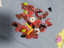 乐高（LEGO）积木拼装10328 玫瑰花束永生花男孩女孩玩具生日礼物 实拍图