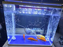 松宝（sobo）鱼缸增氧泵养鱼氧气泵小型家用充氧泵水族箱打氧机增氧泵 双孔3W 实拍图