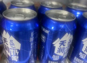 天润（terun）奶啤 新疆特产牛奶二次发酵 无酒精啤酒特色乳酸菌风味含乳乳饮料 原味奶啤300ml*6罐【尝鲜装】 实拍图