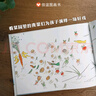 信谊原创图画书系列-一园青菜成了精【3-6岁】丰子恺儿童画书奖 激发儿童想象力的优秀童书绘本暑假作业 一升二暑假衔接 小升初暑假衔接 实拍图