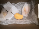 京鲜生 小台农芒果 3斤装 单果约70g 生鲜水果 实拍图