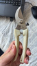 安赛瑞 修枝剪刀果树剪园艺剪 盆栽剪花卉工具园林绿植剪刀花艺 5J00326 实拍图