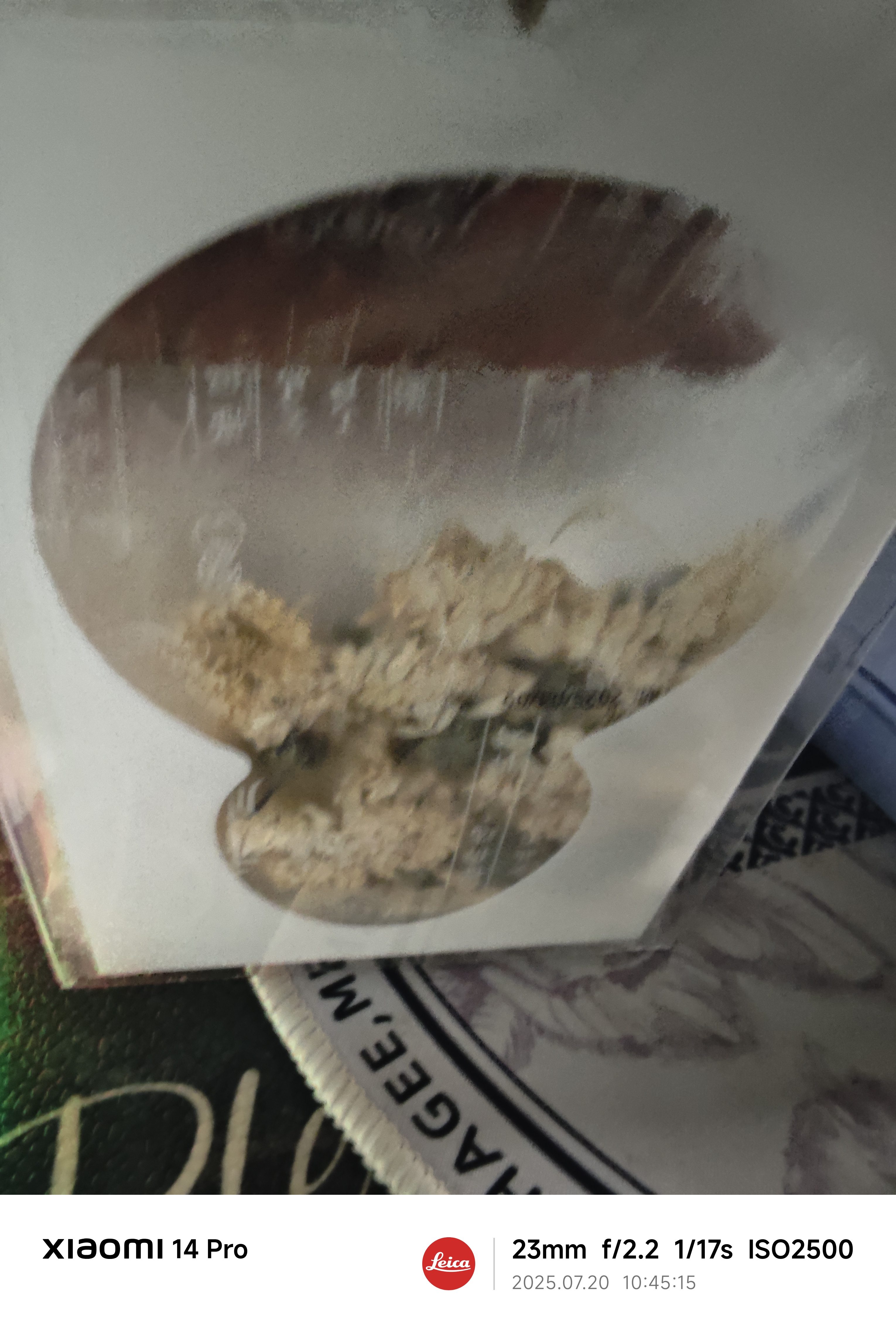 和顺堂 精品贡菊 安徽黄山精选大朵整花 天然无硫洁净免洗供应香港品质 正宗滋补煲汤泡茶中药材饮片级 1盒/30g【3克*10小包/独立包装】 【二十年粤港连锁中医馆品牌值得信赖】 实拍图