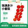 京鲜生＆一柿缘 串收樱桃小番茄 净重2斤礼盒 水果西红柿 源头直发 实拍图