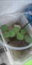 森森（SUNSUN）鱼缸潜水泵底吸水循环换水抽水泵水族箱吸粪换水泵底吸泵 底吸泵15W 带水管 防干烧 实拍图