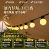 木丁丁户外露营彩灯串氛围灯气泡球彩灯串led灯电池款节日装饰彩灯便携 暖白色 10米80灯 实拍图