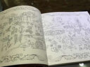 微瑕品 介意慎拍 Enchanted Forest 英文原版 魔法森林 减压绘画填色涂鸦书 秘密花园姊妹书 实拍图