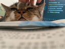 LEGENDSANDY蓝氏全价猫粮生鲜高能系列成猫幼猫 试用 试吃 猎鸟乳鸽 0.05kg 实拍图