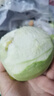 颖曼绿宝甜瓜当季头茬脆甜香瓜时令孕妇水果绿宝石小蜜瓜整箱源头直发 【多次回购】4.5斤装(约5-12个） 实拍图