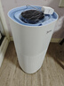 美的【小蓝鲸800】无雾加湿器除菌轻音大容量空气加湿器卧室婴儿办公室家用加湿器客厅立式加湿空气 【小蓝鲸800】SZK-1Y80 实拍图