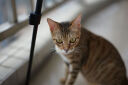 适马（SIGMA）Art 50mm F1.2 DG DN 全画幅微单 大光圈定焦镜头 人像肖像（L卡口） 实拍图
