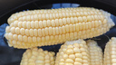 新鲜甜玉米水果玉米甜脆金银玉米棒可生吃爆浆蔬菜营养早餐代餐 新鲜黄金水果玉米5斤 实拍图