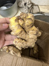 农多鲜 云南小黄姜 新鲜蔬菜现挖现发调味料火锅食材 产地直供 小黄姜净重1斤 云南小黄姜 实拍图