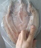 仙泉湖三去白蕉海鲈鱼1斤/条净膛冷冻刺少肉厚珠海特产500g生鲜食材 实拍图