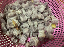 元牧希 进口整块牛腩肉2斤 澳洲牧场番茄炖煮烧烤谷饲冷冻新鲜生牛肉 实拍图