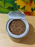 七春 黄苦荞茶麦香型全胚芽全颗粒四川大凉山黄金苦荞大麦麸皮茶250g 实拍图