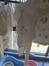 童泰婴儿连体衣春秋季纯棉新生儿衣服初生宝宝蝴蝶哈衣爬服满月服 实拍图