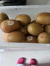 佳沛（zespri）新西兰阳光金果10个装猕猴桃单果重约101-124g水果猕猴桃 实拍图