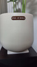 花盆绿植盆栽百搭欧式创意型树脂花盆阳台户外龟背竹绿植大花盆 酒杯盆210【24*26.5】送托盘 一套装 实拍图