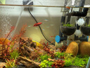 森森（SUNSUN）鱼缸增氧泵水族箱氧气泵家用小型充氧泵 【二代更静】4W双孔+全套配件 实拍图