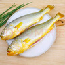 鸿顺三去黄花鱼800g/2条 去鳞去腮去内脏 生鲜鱼类 海鲜 大黄鱼 实拍图