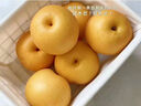 晟容果蔬山东秋月梨新鲜采摘冰糖梨子礼盒当季水果甜现摘现发送礼佳品包邮 9斤甄选果【单果250g+】净8.5斤 实拍图