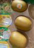 佳沛（zespri）新西兰  金果10粒猕猴桃礼盒巨大果单果144-175g 端午节水果礼盒 实拍图