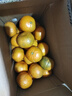 云南沃柑新鲜水果现摘现发蜜桔子桔子甜橙子 带箱6斤花皮果55mm+或60g±2g净重5.5斤 实拍图