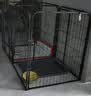 华元宠具（hoopet）狗厕所大型犬金毛一体式中小型犬泰迪不湿脚防踩屎宠物狗狗便屎盆 雾霾灰中号（25斤内狗狗） 实拍图